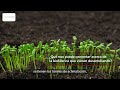 DESCUBRE EL FUTURO DE LA AGRICULTURA CON REFOANDES SAC