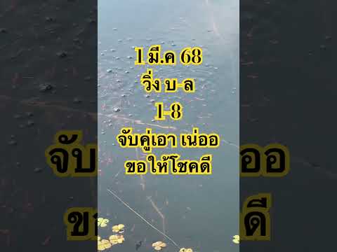 👉#เลขเด็ด 1 มี.ค 68 👉#เลขเด็ด 1 มี.ค 68