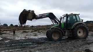 deutz Agrotron 135 MK2 et deutz agrotron m600