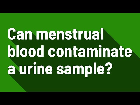 Video: Vai menstruālās asinis var piesārņot urīna paraugu?