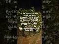 billy Graham# powerful prayers#tag
