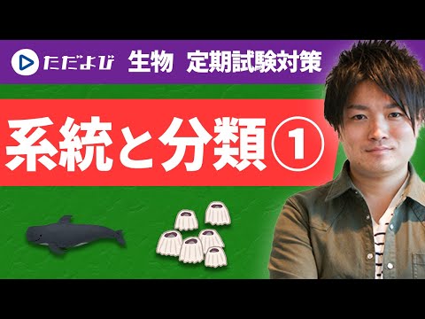 ただよび生物基礎 Biology Regular Exam Preparation] Systematics and Classification①
