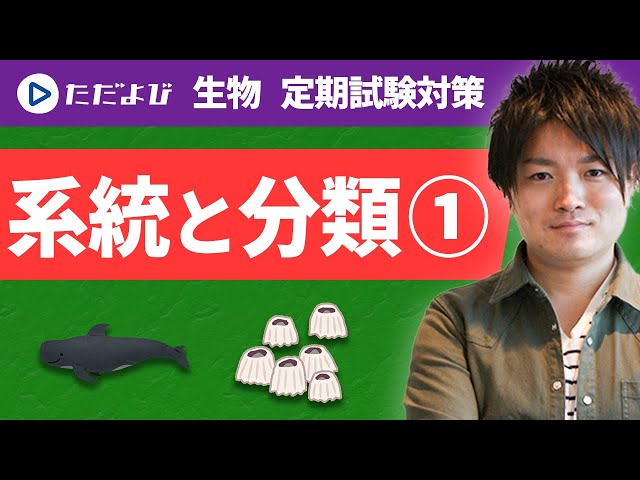 Biology Regular Exam Preparation] Systematics and Classification①
