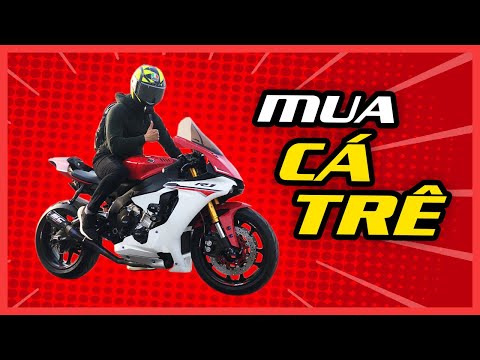 Vác 500 triệu đi mua Yamaha R1 Cá Trê