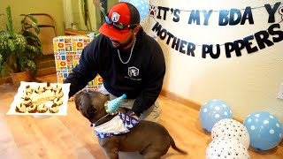 It's My Exotic Bully Puppy's Birthday! | How to Make a Birthday Cake for Dogs!