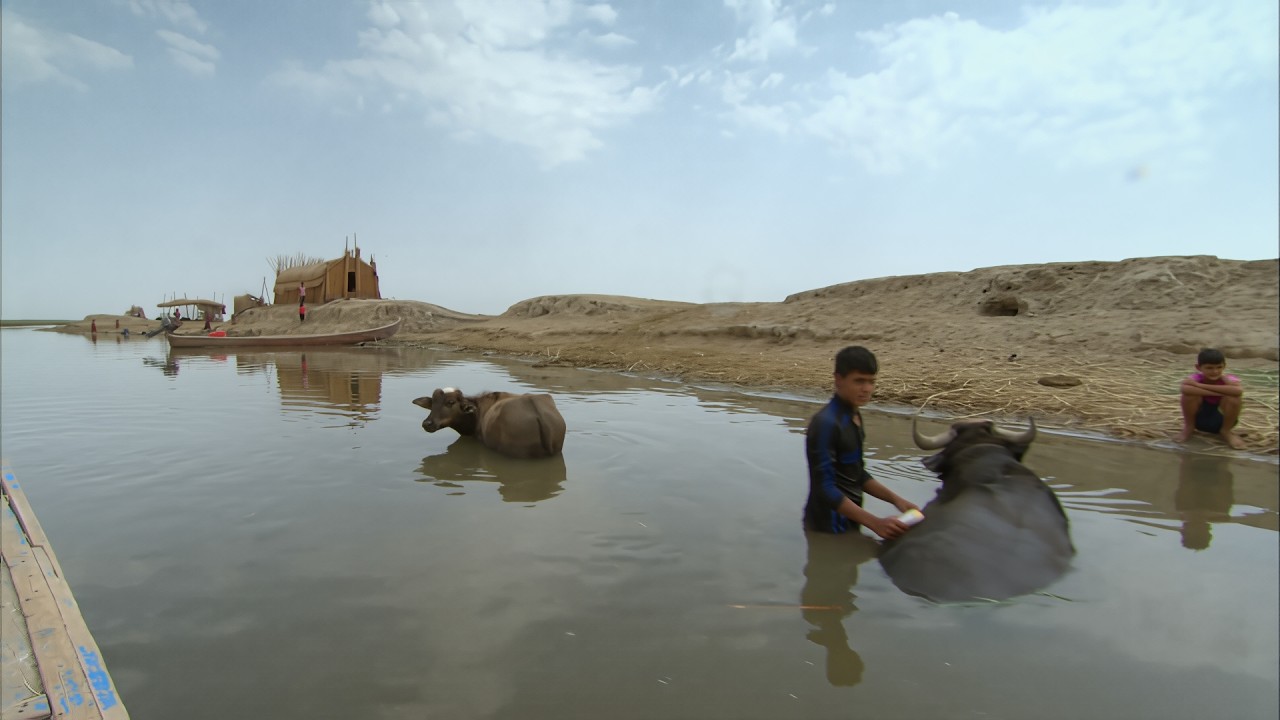 RICHE EN PÉTROLE, PRIVÉE DU NÉCESSAIRE ! 🛢️ Irak : Le paradoxe de Bassora