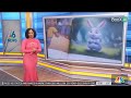Spines' Author Nicole Austin: Featured on 6 news