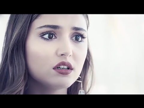 نور الزين زيد الحبيب طول عمري راسي فوك مرفوع