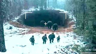 Bigfoot Evidence Found In The Alaska Triangle