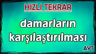 ÇOK KONUŞULAN ÖĞRETMEN ŞARKISI BİZ ÖĞRETMENİZ Öğretmenler söyledi) Öğretmenler Günü Şarkısı