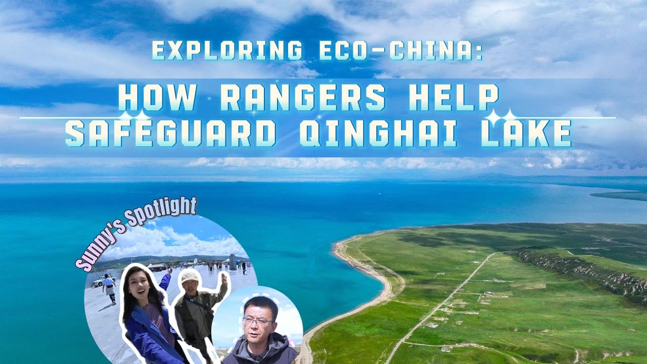 Exploring Eco-China: How rangers help safeguard Qinghai Lake | Sunny's Spotlight Exploring Eco-China: How rangers help safeguard Qinghai Lake | Sunny's Spotlight