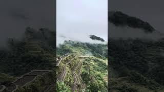 IMG 5598
