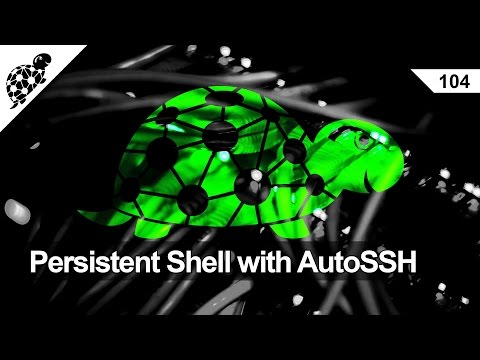 LAN Turtle 104 - Persistent Shell Access with AutoSSH