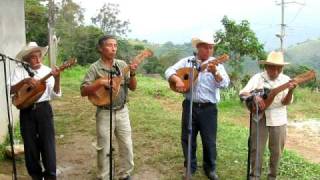 Musica de la danza de concheros - Tierra Blanca Ejido, Xilitla