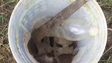 Đào Bắt chuột đồng "đi đi "đặc sản tây nguyên