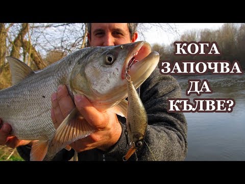 Видео: Кога е късна зима?