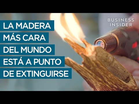 Video: ¿De dónde viene la madera de corazón púrpura?