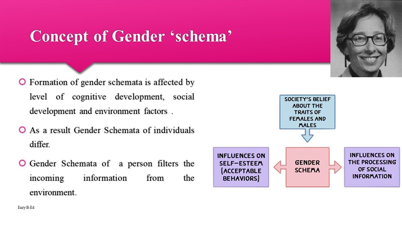 gender schema theory essay plan