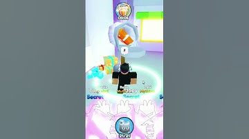 Day Two of Checking my Pet Sim x Mailbox.