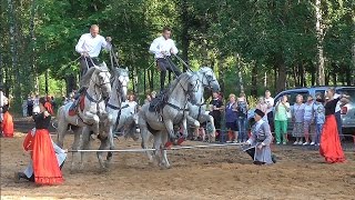 Вольтижировка. Казаки. Вольтижировка. Казаки.