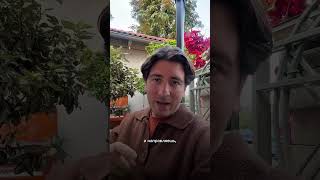 Системный бизнес - это……. #бизнес #business #побизнесу #shortvideo #инвестиции #бизнестренинги #топ