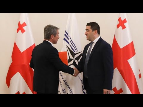 საქართველოში NATO-ს საპარლამენტო დელეგაციის სამდღიანი ვიზიტი დაიწყო