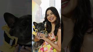 Oh To Be A Frenchie Hanging Out With At The Premiere.