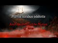 W amadeus mozart requiem confutatis maledictis lyrics with english translation MP3