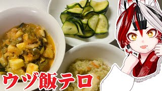 【飯テロ】飯テロ写真見て、楽しむ会！【Vtuber】#ウヅ飯テロ