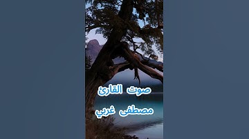سورة الإخلاص كاملة برواية ورش عن نافع بصوت القارئ الشيخ مصطفى غربي
