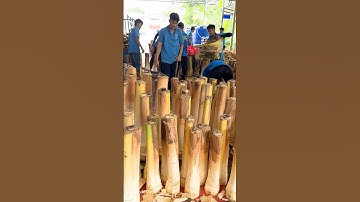 Edible Dwarf Coconut Tree - Coconut Tree Cutting Skills