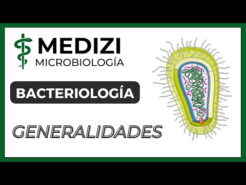 Video: ¿Qué es la bacteriología en microbiología?