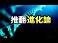 「巴斯克人」和「雅利安人」為什麼會被外星人盯上，「新世界秩序」正在建立中（2021）｜【你可敢信 & Nic Believe】