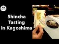 Shincha tasting in kagoshima