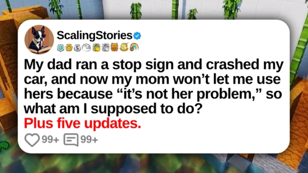 New Update: My Dad Ran a Stop Sign and Crashed My Car, and Now My Mom Won’t Let Me Use Hers Because