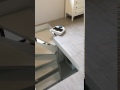 Neato vacuum cleaner falling down the stairs