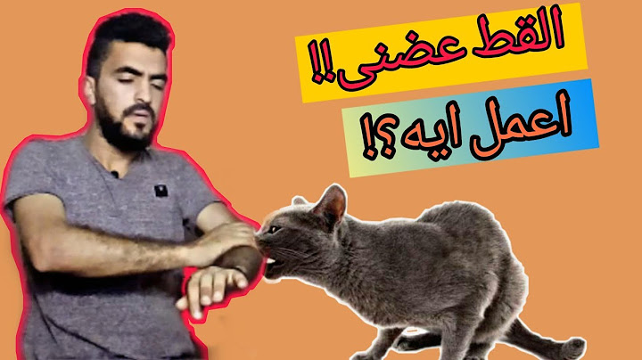 ماذا تفعل إذا تعرضت للعض أو الخربشة ؟