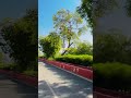 Instagram Reels Ideas Trending Shorts Photography