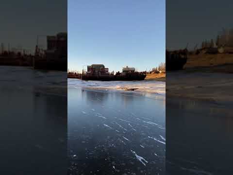 Video: Sibirsk Skerda