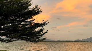Download Mp3 Di Langit Yang Sama (dalia farhana) | cover Gudang lagu Download Mp3 Di Langit Yang Sama (dalia farhana) | cover