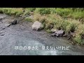 五木ひろしさんのしぐれ川cover霧島のかっちゃん