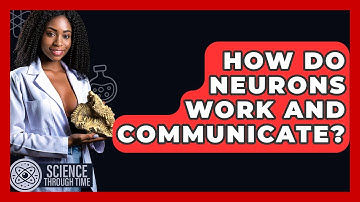 How Do Neurons Work And Communicate? - Science Through Time