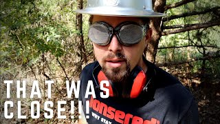 Tight Fit: Cutting Down Trees NEAR the HOUSE! (Stihl MS 261 C-M + Ported Husqvarna 372xpw)