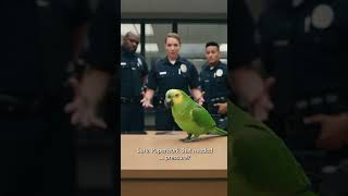 Download Lagu Those marks are from pressure 🦜😂 MP3