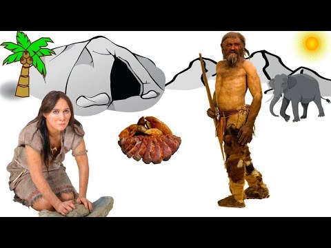 Video: Vedci Potvrdili Genetické Spojenie Medzi Homo Sapiens A Neandertálcom - Alternatívny Pohľad