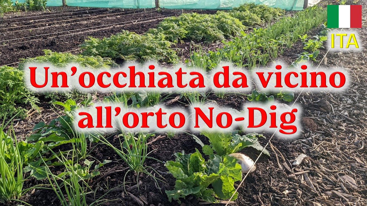Come funziona l'Orto No-Dig? Letti permanenti, struttura del suolo, infestanti.
