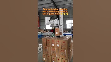 Fast and stable -running robot palletizing solution.#palletizer #stacking #box#robot