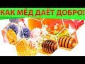 Как мед меняет характер человека. Мёд – категория нравственная! Как мед влияет на человека.