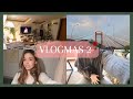 VLOGMAS 2 | Cambio de look, nueva integrante y decoración navideña.d