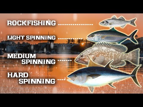Video: Cómo Elegir El Equipo De Pesca